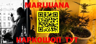 трава Заводоуковск