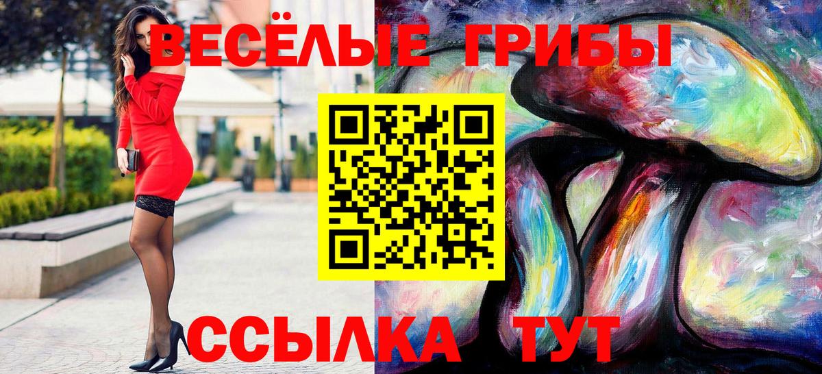 Междуреченск  Псилоцибиновые грибы MAGIC MUSHROOMS  даркнет сайт  Вход с VPN  Галлюциногенные грибы Cubensis 