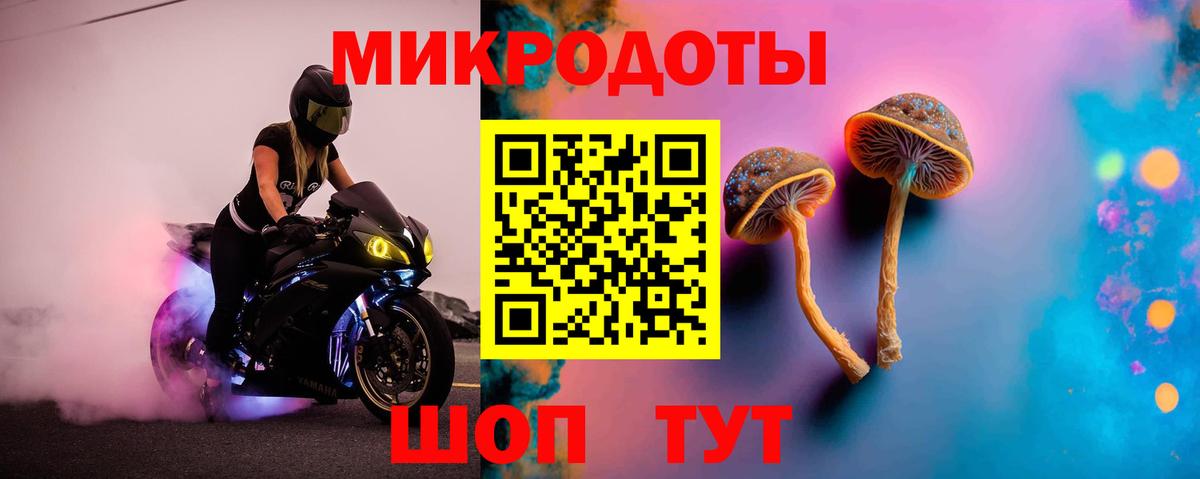 Псилоцибиновые грибы GOLDEN TEACHER Междуреченск